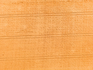 Aerial view of wheat field with tractor tracks. Farm from drone view.