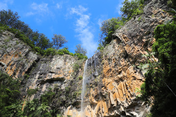 Waterfall in Rainforest