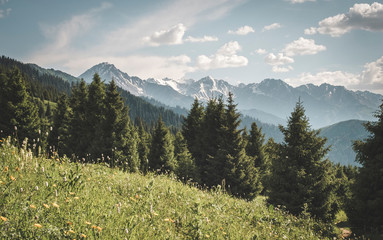 panoramic mountain and forest views and snowy peaks in the mountains of Kahastan