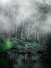 Fototapeta na wymiar Person walking on train bridge in forest foggy