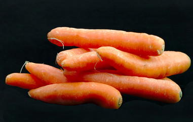 Organic carrots on black background. Carrot concept