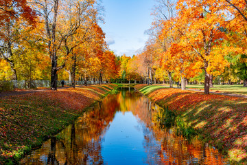 Autumn foliage in Alexander park, Tsarskoe Selo (Pushkin), Saint Petersburg, Russia