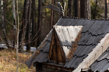old small wooden abandoned hunter's house in the forest