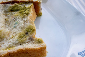 Sliced bread with fungal mold. Spoiled, moldy inedible food. Close-up, selective focus. There are space for text.