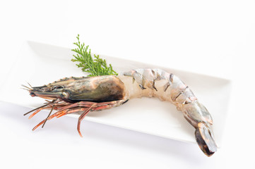 ブラックタイガー