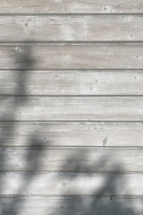 Fototapeta premium background of wooden boards with the shadow of branches