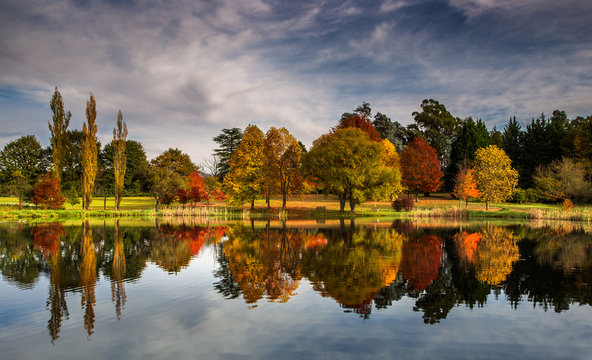 Autumn landscape scene Himeville, South Africa. Autumn trees and lake, Kenmo