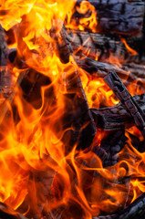 Obraz premium Abstract fire close-up for background.