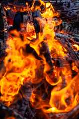 Abstract fire close-up for background.