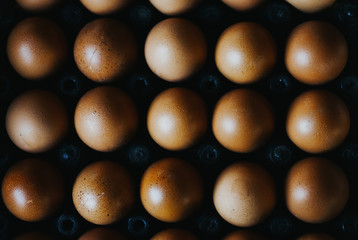 golden egg on black background