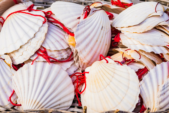 The way of Saint James in Galicia shell souvenirs. Pedrafita do Cebreiro, O Cebreiro, Galicia, Spain, Europe