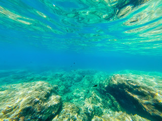 Underwater view of fish and rocks in Alghero shore
