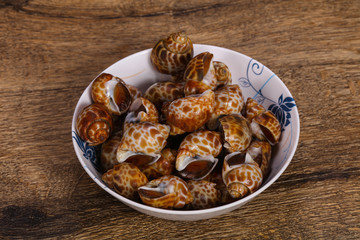 Tasty mollusk - spotted Babylon in the bowl