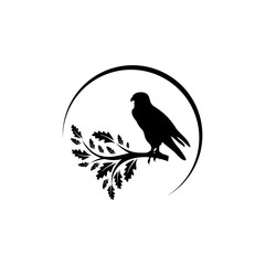 Falcon Logo silhouette Design icon isolated on white background