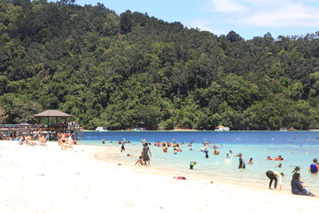 Fototapeta premium tropical beach with palm trees in Sabah 
