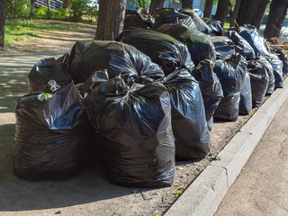 a lot of black garbage bags are on the street after cleaning