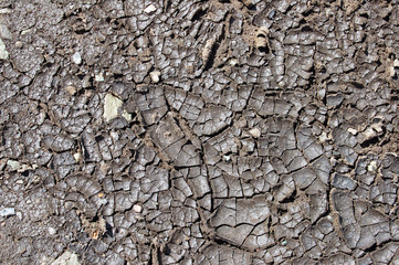 Land. Texture. Background from cracked earth where there was a puddle.