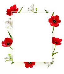 Red flowers. Floral background. Tulips. Border. Green. Leaves. Square frame.