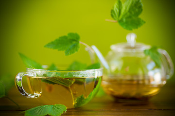 summer refreshing organic tea from currant leaves in a glass teapot