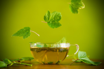 summer refreshing organic tea from currant leaves in a glass teapot