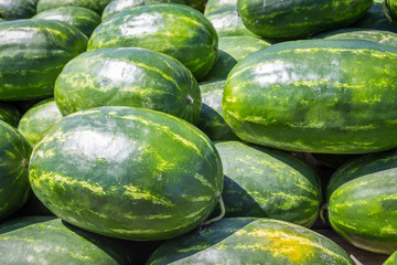 Fresh Watermelon:  Fresh Watermelon on a truck bed and trailer for sale at roadside during Pandemic.