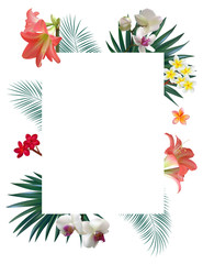 Tropical background. Flowers. Orchid. Palm leaves. Flower pattern. Exotic plants. Plumeria. Frangipani. Lilies. Pink.