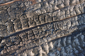 The carbonized surface of a longitudinal section of a thick tree. Background, texture