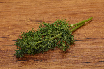 Aroma seasoning - Green Dill branch