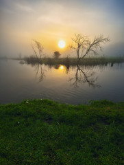 reflection in water. Dawn in the valley of a picturesque river. spring morning