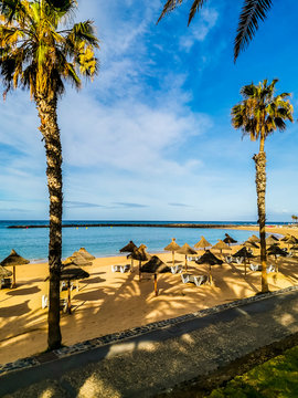 Empty beach with all sun beds piled up for closed season and zero tourists situation because coronavirus lockdown worldwide emergency - tenerife el camison resort tropical view