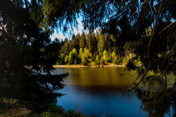 Blick über den Bärenbrucher Teich