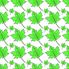 Green maple leaves seamless pattern.