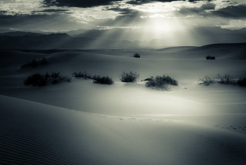Black and white tone of sand dunes at Mesquite fields in the death valley