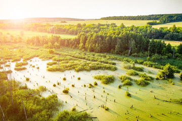 overgrown green river and forest at sunset, aerial shoot