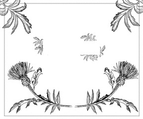 Frame for postcards black and white from leaves and flowers of a thistle on a white background. Minimalistic design for halloween, greeting cards and decoration. Witch flower. Funeral registration of 