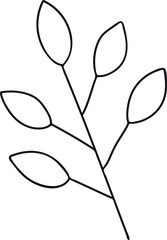 Single branch with leaves on a white background hand drawing.  Isolated object.  For card,  poster,  web,  