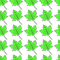 Fototapeta na wymiar Maple leaves seamless pattern on a white background. For card, wallpaper, paper, design, textile. 