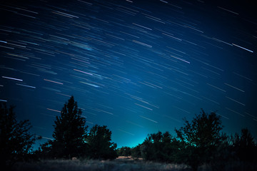 Colorful startrails above dark forest