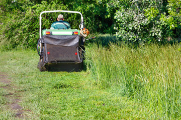 Fototapeta premium Mowed green grass gathers in the hopper of a professional lawnmower, which moves forward in a slight blur.