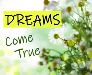 Dreams Come True text sign. Blooming camomiles bouquet green leaves. Blurred bokeh lights flowers background selective focus. Love greeting card. Motivation inspirational quotes for successful people