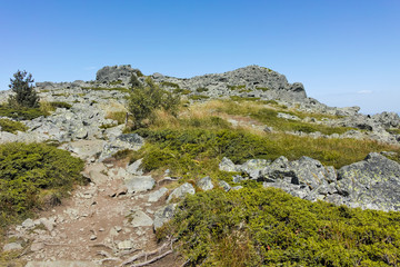 Autumn view of Vitosha Mountain, Bulgaria