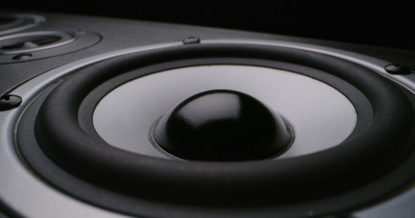 Pulsating subwoofer macro view