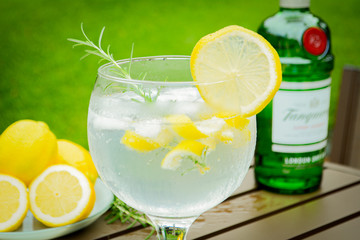 Fresh Gin Tonic with Lemon