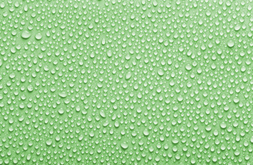 Fototapeta na wymiar Rain droplets background, green colored water drops texture