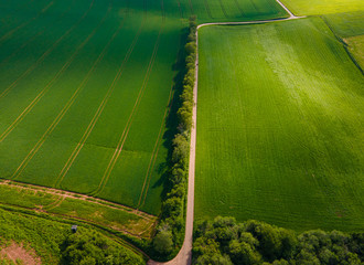 Amazing nature - beautiful farmland on a sunny day - aerial view