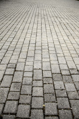 Fototapeta premium Paving stones on the ground