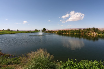 Fototapeta na wymiar Quiet pond with a fountain