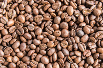 Coffee seed for background. 