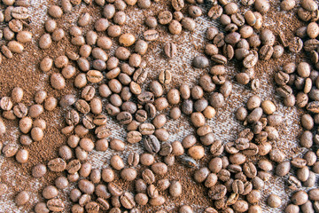 Coffee seed for background.