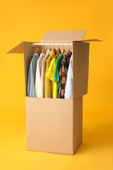 Moving box with clothes on color background